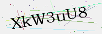 CAPTCHA Security Code
